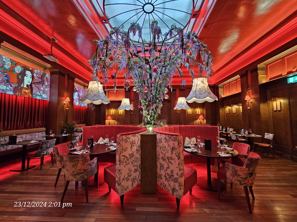 Kibou Japanese Restaurant & Bar Cambridge